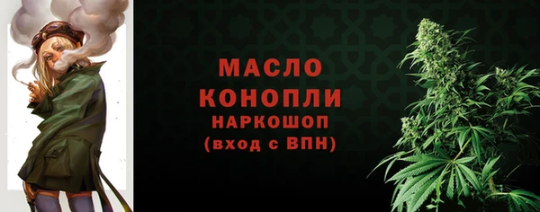 винт Верея