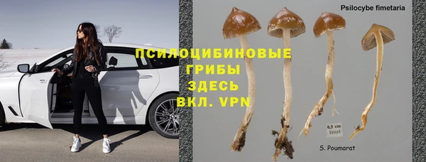 соль курить ск Бородино