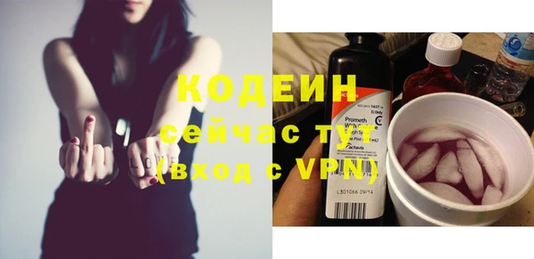 винт Верея