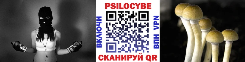 Псилоцибиновые грибы Cubensis  Купить где  Эртиль 